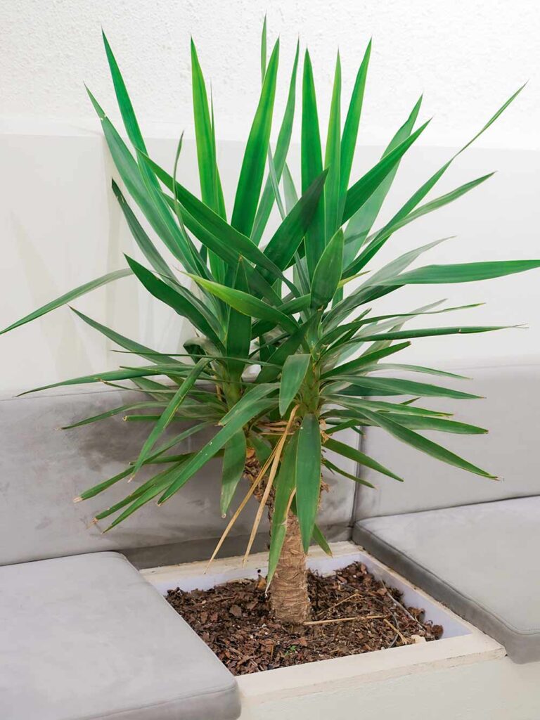 طراحی داخلی کافه تجربه، تصویر 10