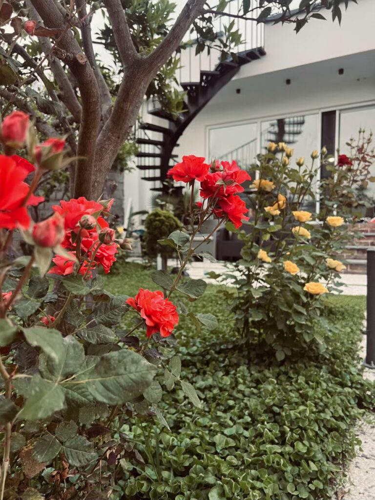 سرای خیال، تصویر 3